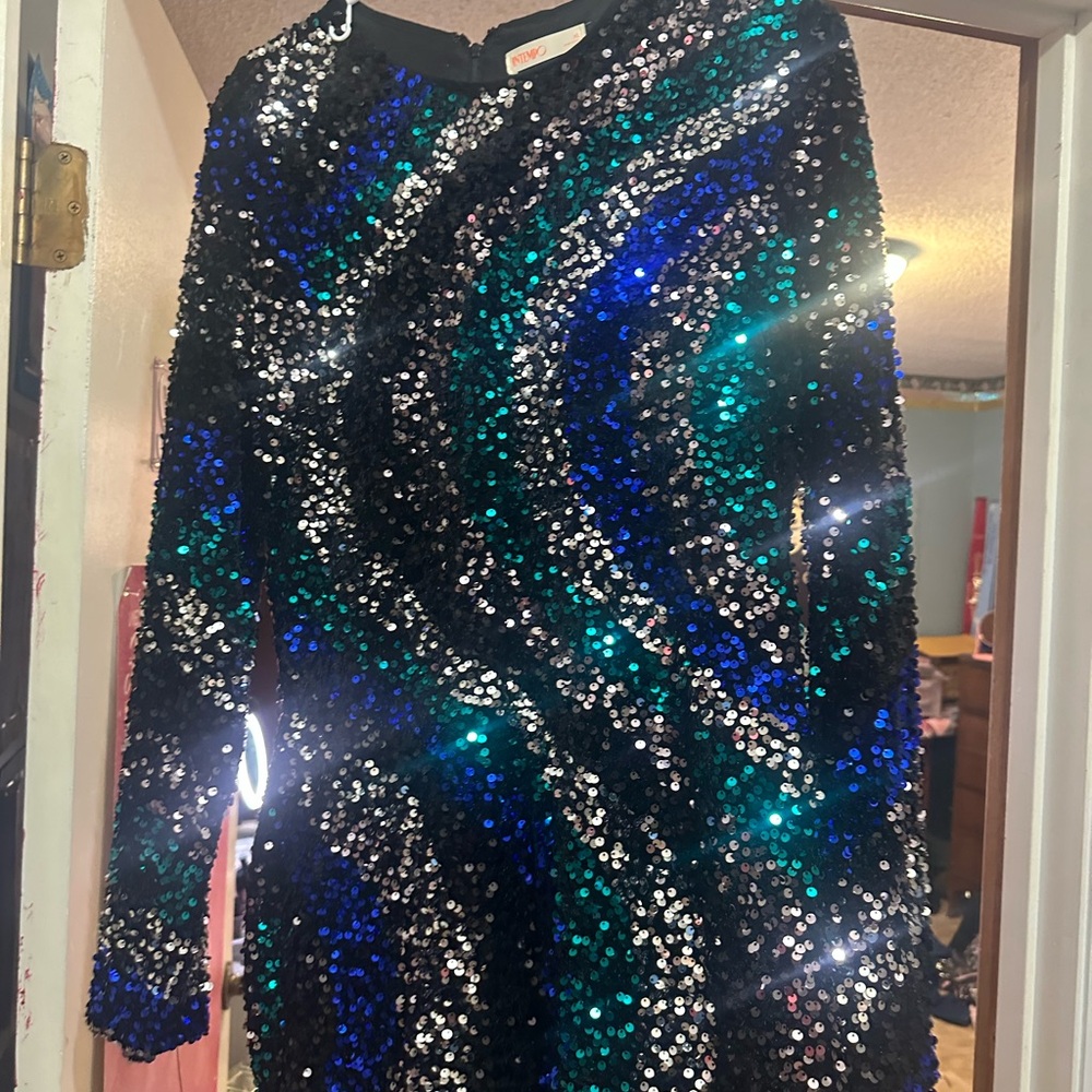 Sequin Long Sleeve Dress in Black and Green NWOT XL